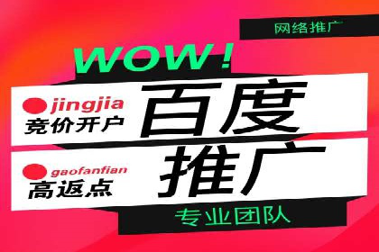 百度竞价排名服务助力：某品牌迅速占领市场